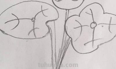 荷叶荷花怎么画简笔画(荷叶荷花怎么画简笔画漂亮) 荷叶荷花怎么画简笔画(荷叶荷花怎么画简笔画漂亮)