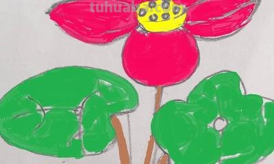 荷叶荷花怎么画简笔画(荷叶荷花怎么画简笔画漂亮) 荷叶荷花怎么画简笔画(荷叶荷花怎么画简笔画漂亮)