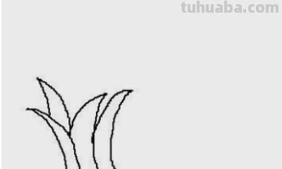辣椒树怎么画简笔画(辣椒树怎么画简笔画图片) 辣椒树怎么画简笔画(辣椒树怎么画简笔画图片)