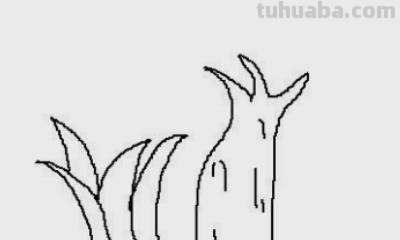 辣椒树怎么画简笔画(辣椒树怎么画简笔画图片) 辣椒树怎么画简笔画(辣椒树怎么画简笔画图片)