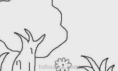 辣椒树怎么画简笔画(辣椒树怎么画简笔画图片) 辣椒树怎么画简笔画(辣椒树怎么画简笔画图片)