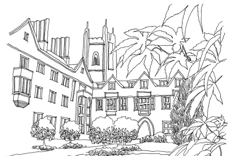 多伦多校园建筑怎么画?老师分步骤图解教你画,简单易学,收藏 多伦多校园建筑怎么画?老师分步骤图解教你画,简单易学,收藏