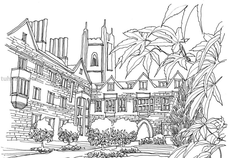 多伦多校园建筑怎么画?老师分步骤图解教你画,简单易学,收藏 多伦多校园建筑怎么画?老师分步骤图解教你画,简单易学,收藏