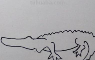 怎么画鳄鱼简笔画大全(怎么画鳄鱼简笔画大全图片) 怎么画鳄鱼简笔画大全(怎么画鳄鱼简笔画大全图片)