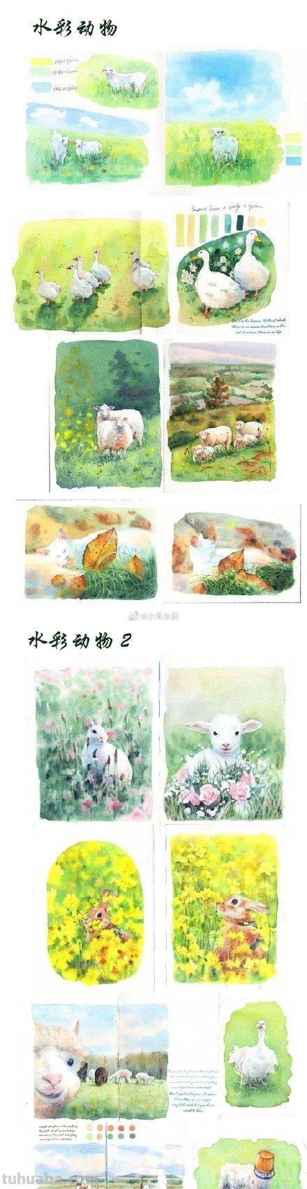 兴趣学水彩？业余练习也要准备的画画工具看这里