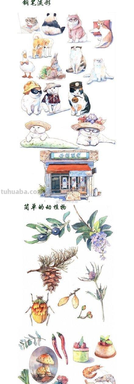 兴趣学水彩？业余练习也要准备的画画工具看这里