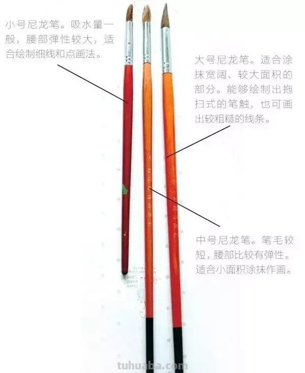 水彩入门-工具的介绍！