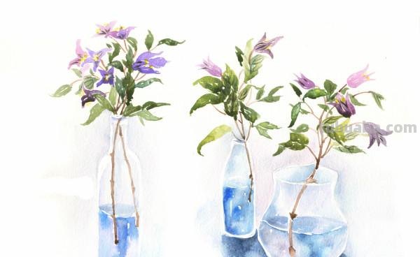 水彩入门-工具的介绍！