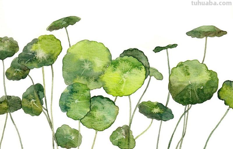 水彩入门-工具的介绍！