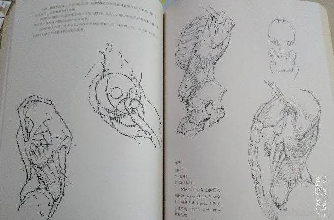 学画四年，吐血整理这一路我用得好的绘画教材、绘画装备