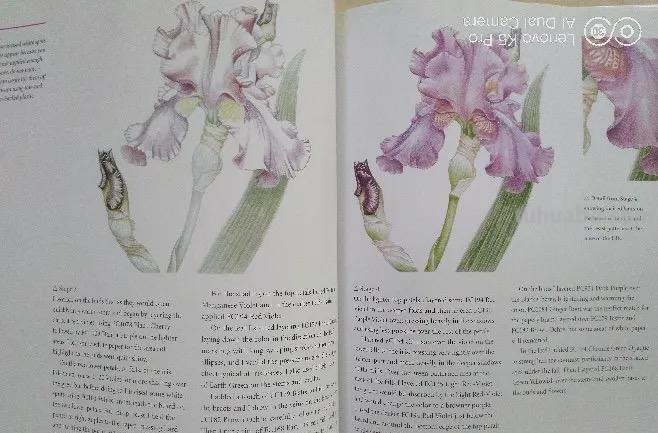 学画四年，吐血整理这一路我用得好的绘画教材、绘画装备