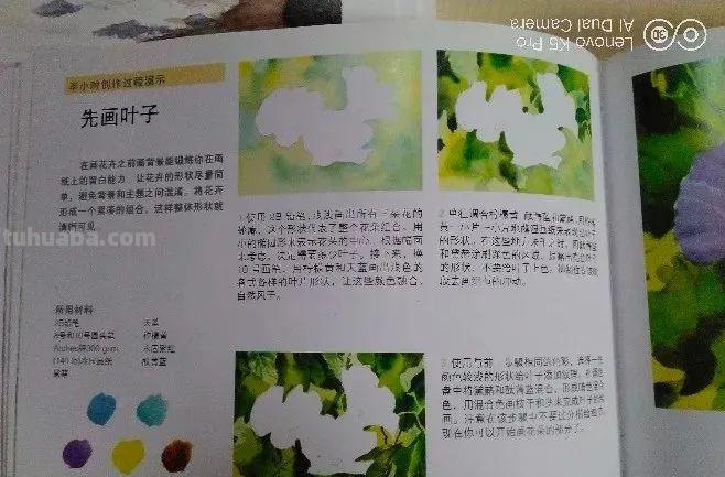 学画四年，吐血整理这一路我用得好的绘画教材、绘画装备