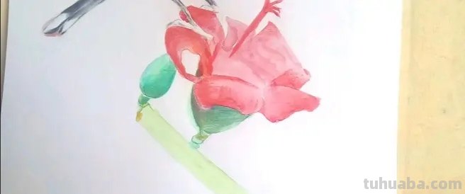 彩铅加水彩怎么画（彩铅加水彩怎么画简单）