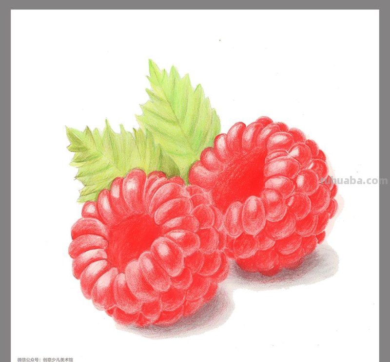 绘画素材｜20例彩铅作品精选，每一张都是学习的好素材