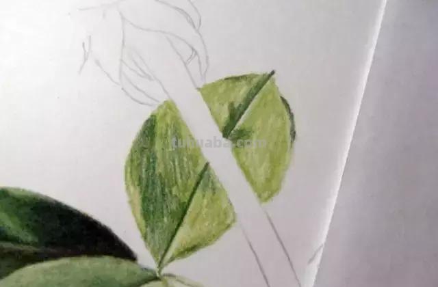 「俄」艺术家伊戈尔Levashov教你用彩铅画一朵玫瑰(详细图解) 「俄」艺术家伊戈尔Levashov教你用彩铅画一朵玫瑰(详细图解)