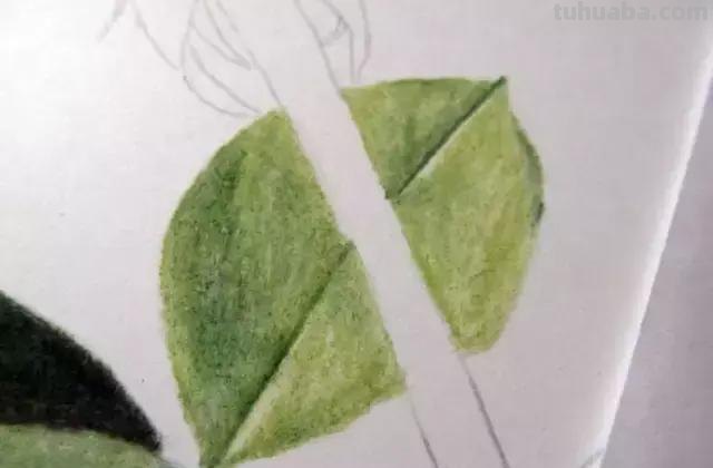 「俄」艺术家伊戈尔Levashov教你用彩铅画一朵玫瑰(详细图解) 「俄」艺术家伊戈尔Levashov教你用彩铅画一朵玫瑰(详细图解)