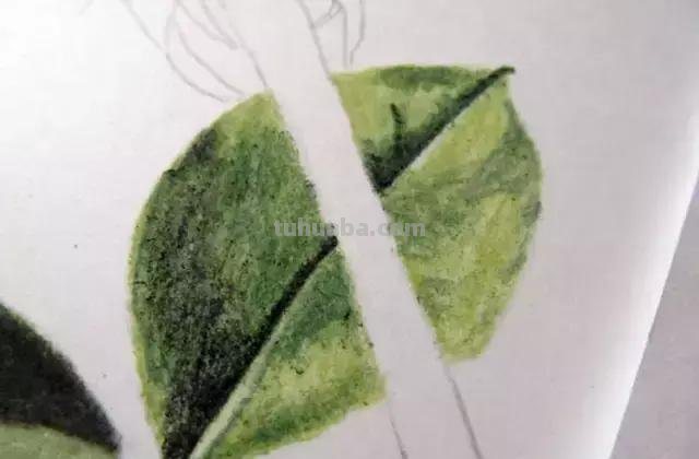 「俄」艺术家伊戈尔Levashov教你用彩铅画一朵玫瑰(详细图解) 「俄」艺术家伊戈尔Levashov教你用彩铅画一朵玫瑰(详细图解)