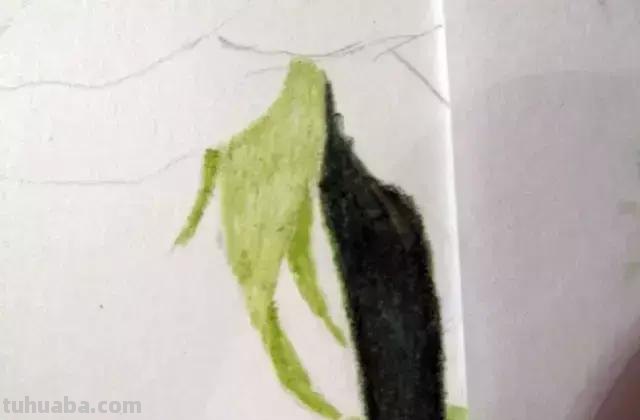 「俄」艺术家伊戈尔Levashov教你用彩铅画一朵玫瑰(详细图解) 「俄」艺术家伊戈尔Levashov教你用彩铅画一朵玫瑰(详细图解)