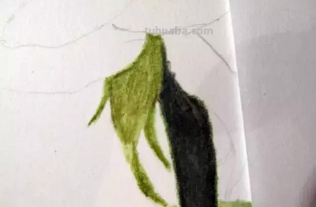「俄」艺术家伊戈尔Levashov教你用彩铅画一朵玫瑰(详细图解) 「俄」艺术家伊戈尔Levashov教你用彩铅画一朵玫瑰(详细图解)