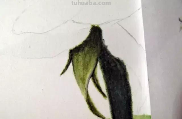 「俄」艺术家伊戈尔Levashov教你用彩铅画一朵玫瑰(详细图解) 「俄」艺术家伊戈尔Levashov教你用彩铅画一朵玫瑰(详细图解)