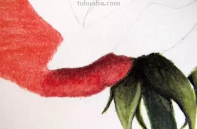 「俄」艺术家伊戈尔Levashov教你用彩铅画一朵玫瑰(详细图解) 「俄」艺术家伊戈尔Levashov教你用彩铅画一朵玫瑰(详细图解)