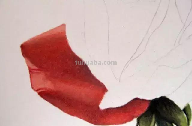 「俄」艺术家伊戈尔Levashov教你用彩铅画一朵玫瑰(详细图解) 「俄」艺术家伊戈尔Levashov教你用彩铅画一朵玫瑰(详细图解)