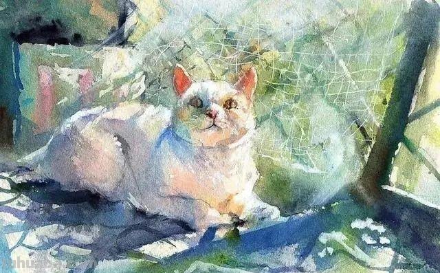 素材 - 梦幻轻松的小动物水彩画