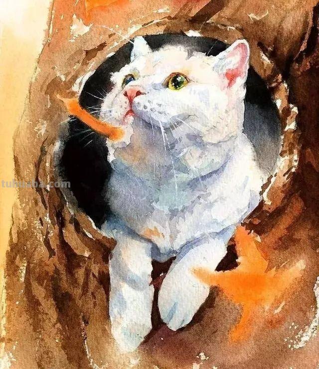 素材 - 梦幻轻松的小动物水彩画