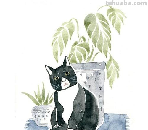 十五张手绘水彩小插画，简单上手易出效果，增加绘画信心