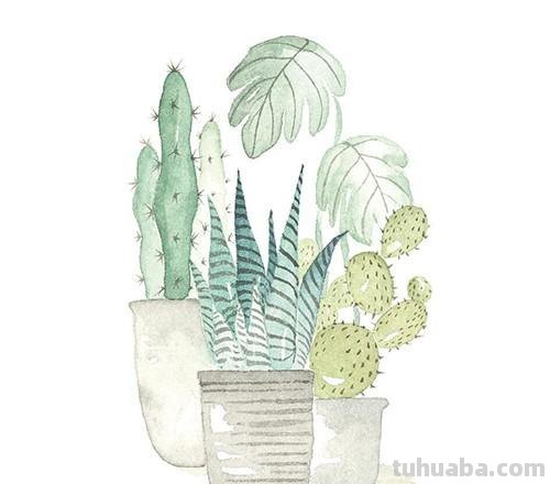 十五张手绘水彩小插画，简单上手易出效果，增加绘画信心
