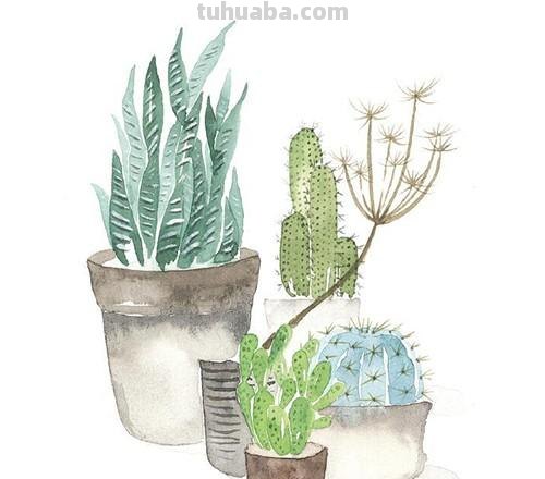 十五张手绘水彩小插画，简单上手易出效果，增加绘画信心