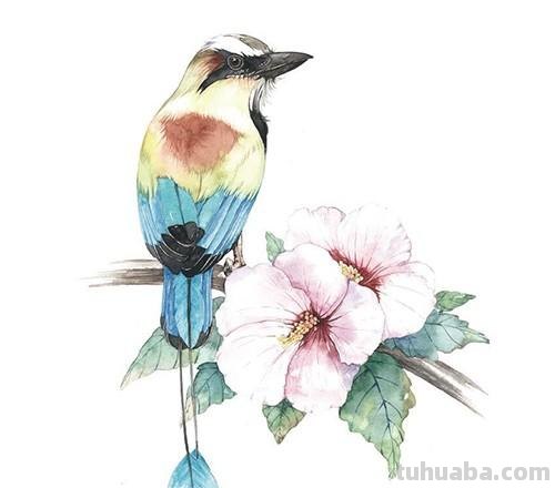 十五张手绘水彩小插画，简单上手易出效果，增加绘画信心