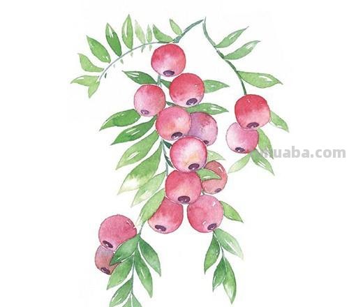 十五张手绘水彩小插画，简单上手易出效果，增加绘画信心