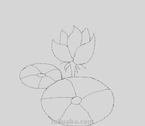 怎么画荷花图片简笔画(怎么画荷花图片简笔画大全) 怎么画荷花图片简笔画(怎么画荷花图片简笔画大全)