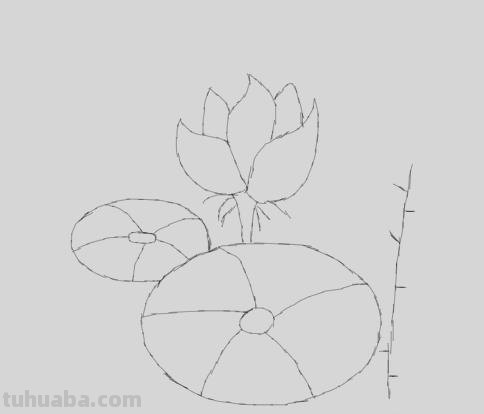 怎么画荷花图片简笔画(怎么画荷花图片简笔画大全) 怎么画荷花图片简笔画(怎么画荷花图片简笔画大全)