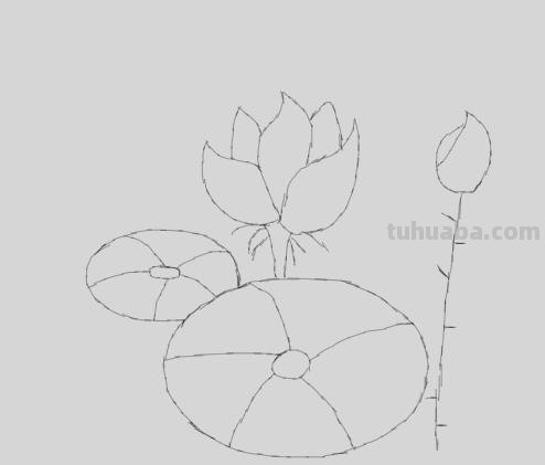 怎么画荷花图片简笔画(怎么画荷花图片简笔画大全) 怎么画荷花图片简笔画(怎么画荷花图片简笔画大全)