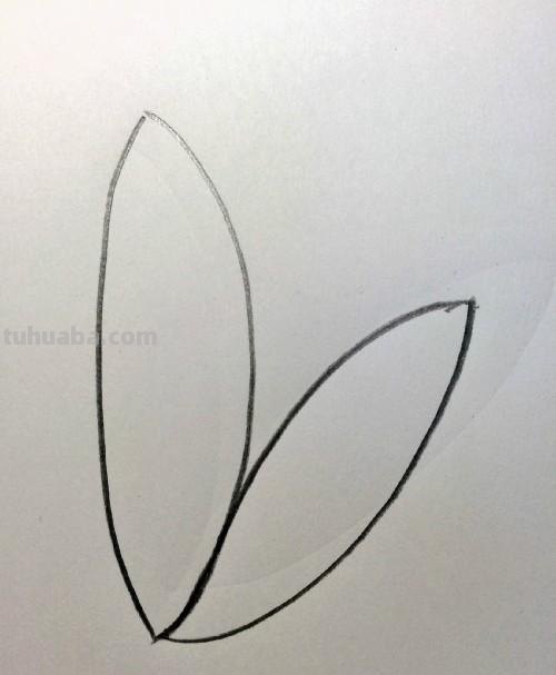 怎么画荷花图片简笔画(怎么画荷花图片简笔画大全) 怎么画荷花图片简笔画(怎么画荷花图片简笔画大全)