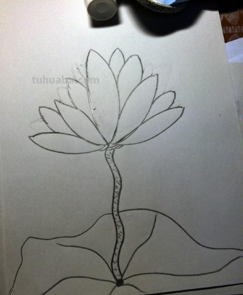 怎么画荷花图片简笔画(怎么画荷花图片简笔画大全) 怎么画荷花图片简笔画(怎么画荷花图片简笔画大全)