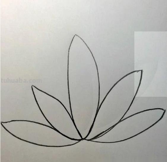 怎么画荷花图片简笔画(怎么画荷花图片简笔画大全) 怎么画荷花图片简笔画(怎么画荷花图片简笔画大全)