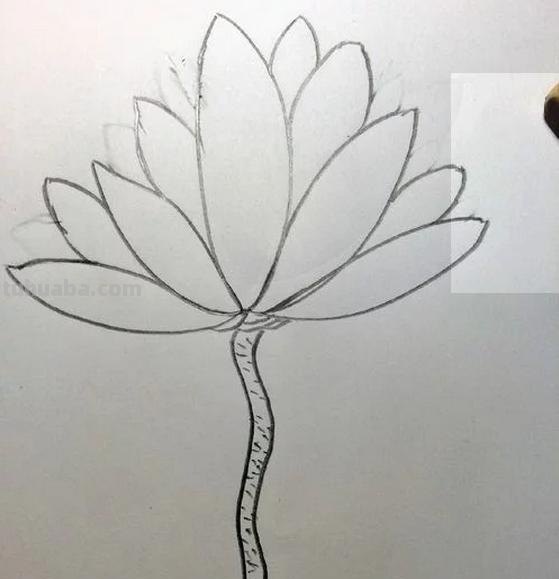 怎么画荷花图片简笔画(怎么画荷花图片简笔画大全) 怎么画荷花图片简笔画(怎么画荷花图片简笔画大全)