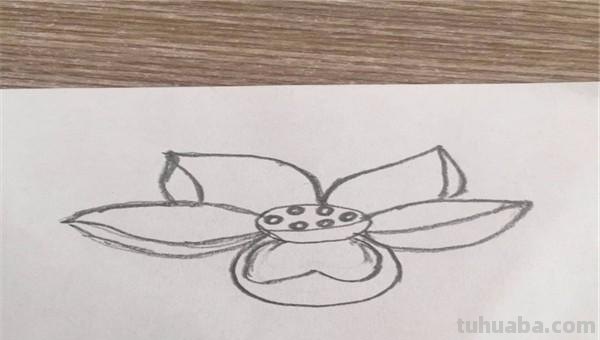 怎么画荷花图片简笔画(怎么画荷花图片简笔画大全) 怎么画荷花图片简笔画(怎么画荷花图片简笔画大全)