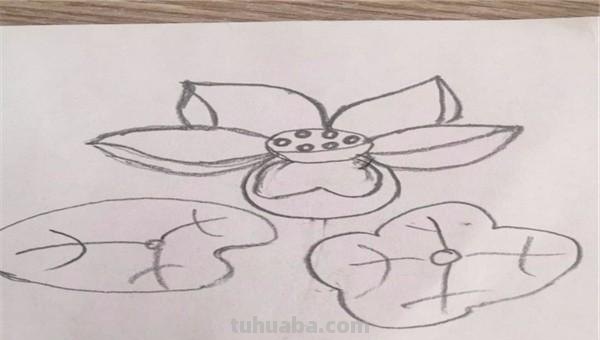 怎么画荷花图片简笔画(怎么画荷花图片简笔画大全) 怎么画荷花图片简笔画(怎么画荷花图片简笔画大全)