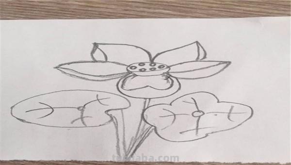 怎么画荷花图片简笔画(怎么画荷花图片简笔画大全) 怎么画荷花图片简笔画(怎么画荷花图片简笔画大全)