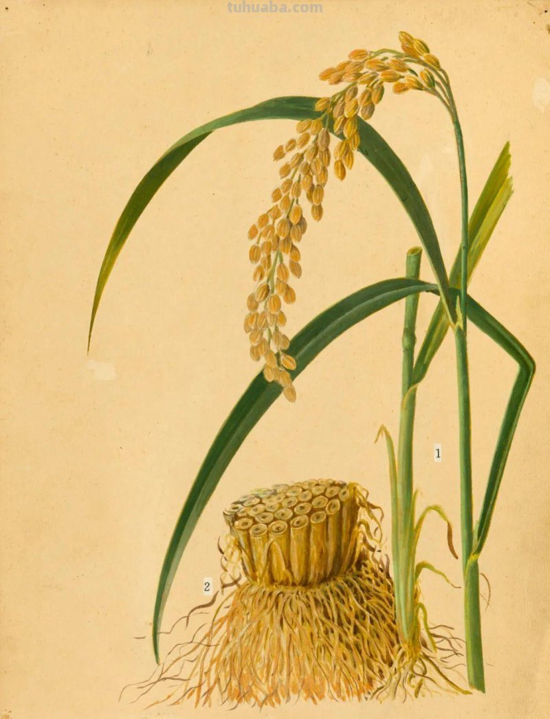 全国不到10个！绘画界的「大熊猫」带你给天河“上色”