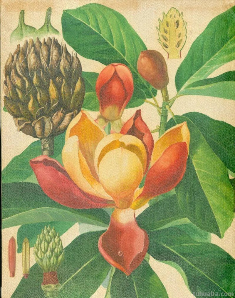 全国不到10个！绘画界的「大熊猫」带你给天河“上色”