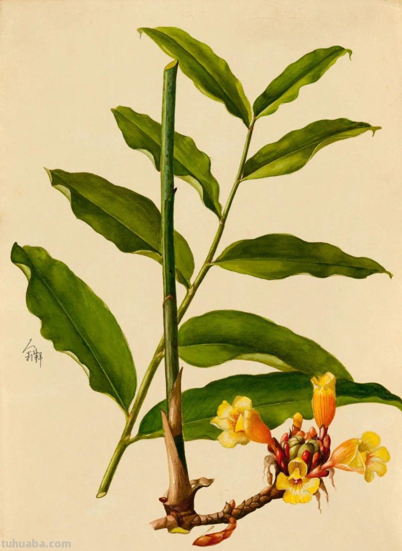 全国不到10个！绘画界的「大熊猫」带你给天河“上色”