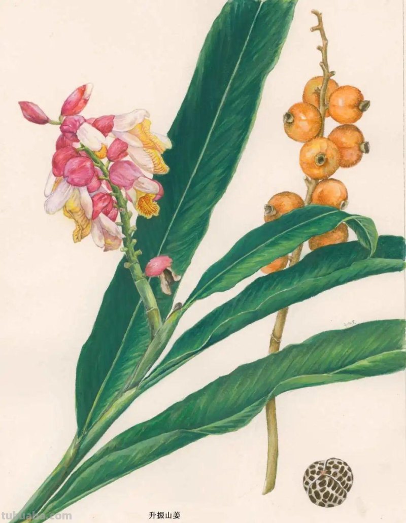 全国不到10个！绘画界的「大熊猫」带你给天河“上色”