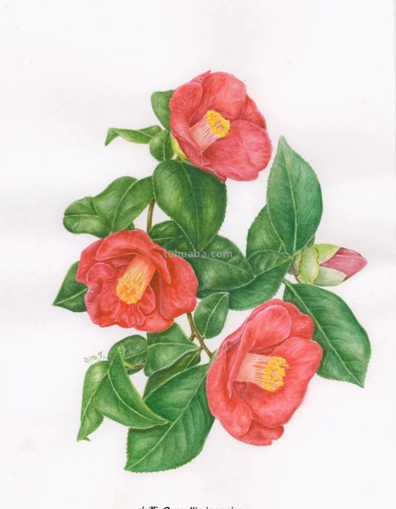 全国不到10个！绘画界的「大熊猫」带你给天河“上色”