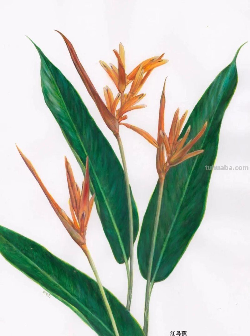 全国不到10个！绘画界的「大熊猫」带你给天河“上色”