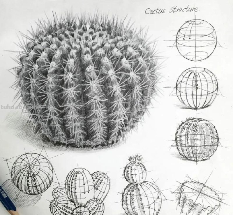 最近很受欢迎的画！韩国画家的结构素描作品高清精选